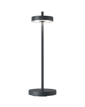 ESSENCE - Outdoor light, anthracite